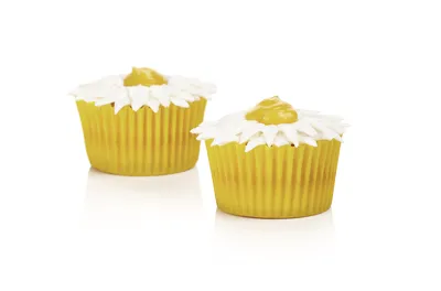 淑女牌柠檬果馅