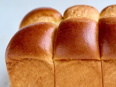 耀金植物蛋白饮料