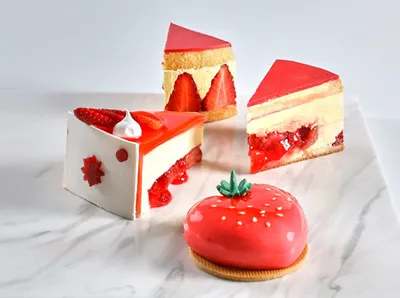 焙乐道力尊蛋糕油（工业专用）