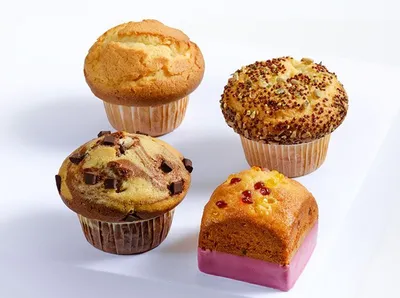 焙乐道玛芬蛋糕预拌粉